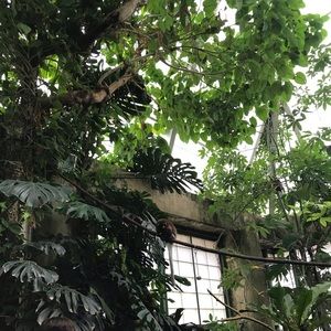 Meet your Posher, Mattie